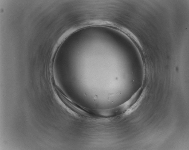 X0000073521381200607311213