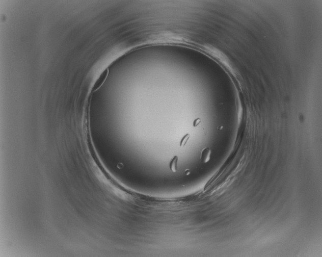 X0000073521387200607311213