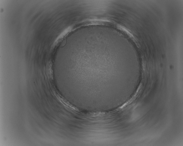 X0000073521403200607311212