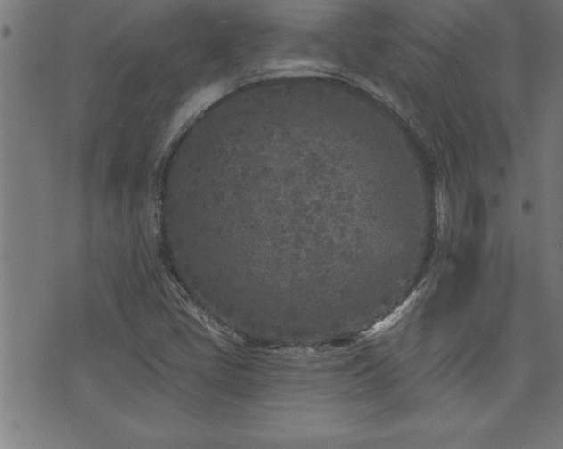 X0000073521405200607311212