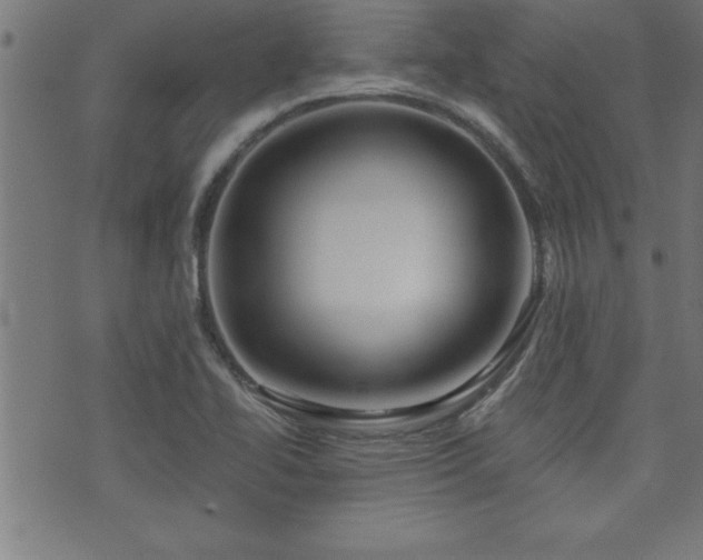 X0000073521414200607311212