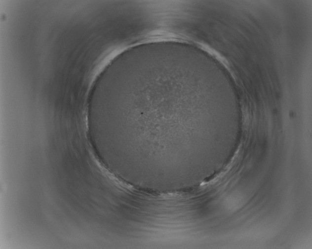 X0000073521415200607311212