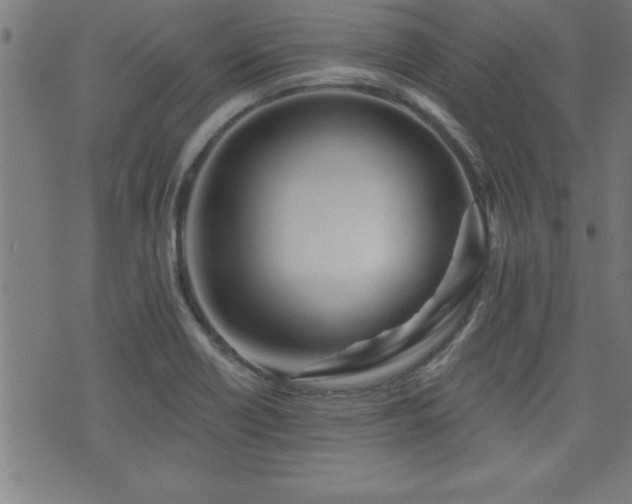 X0000073521418200607311212