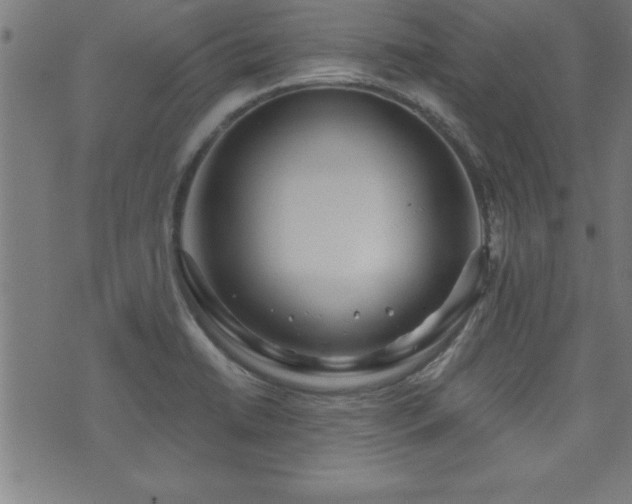 X0000073521422200607311212