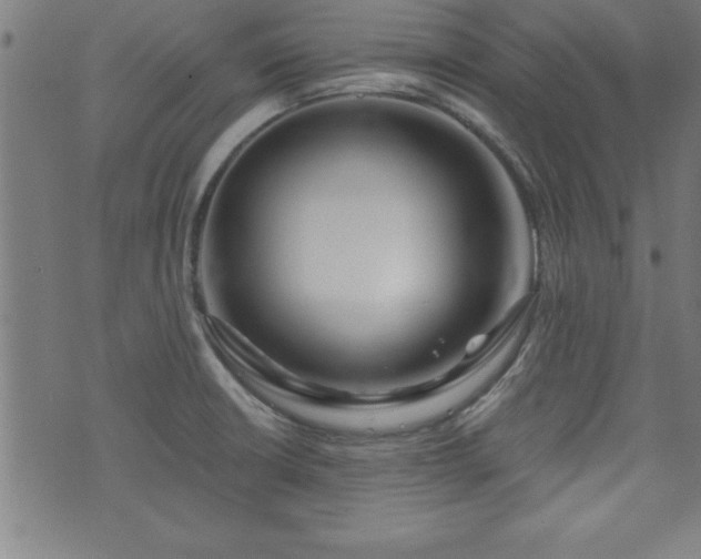 X0000073521426200607311212
