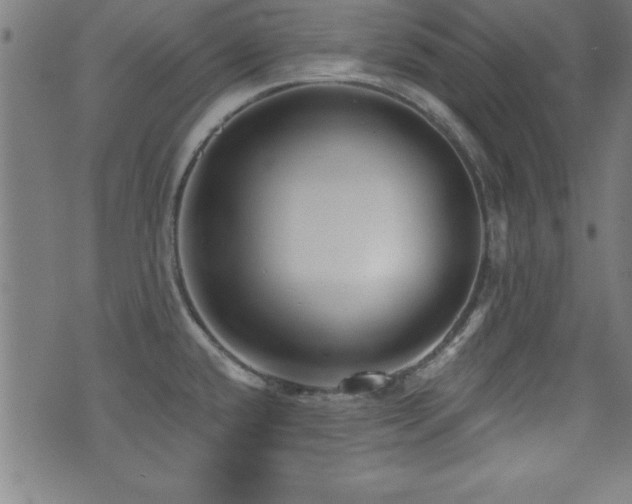 X0000073521432200607311212