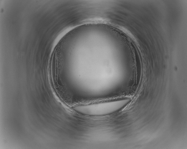 X0000073521440200607311213