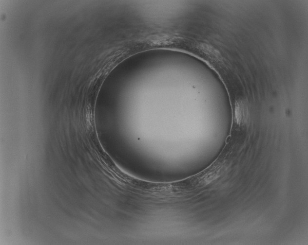 X0000073521444200607311212