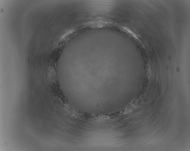 X0000073521446200607311212