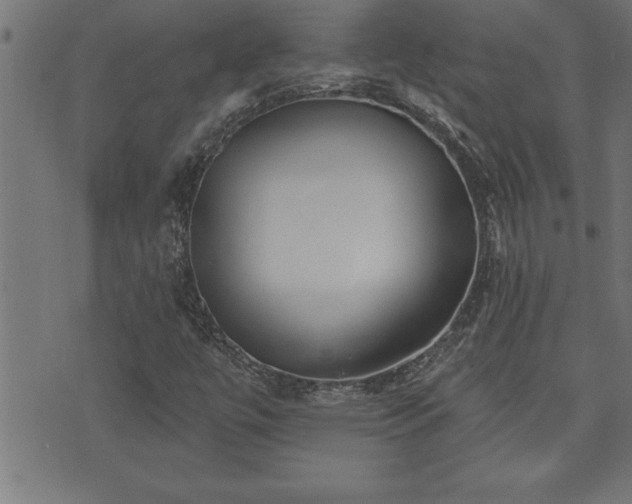 X0000073521447200607311212