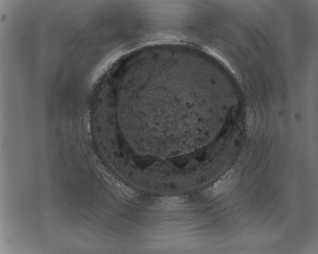 X0000073521455200607311212