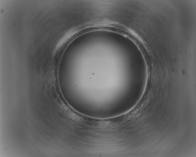 X0000073521456200607311212