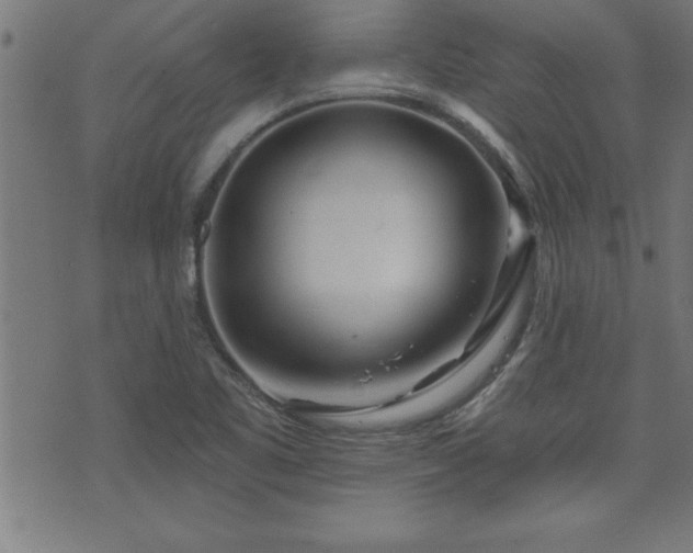 X0000073521461200607311212