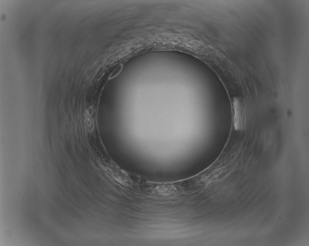 X0000073521491200607311210