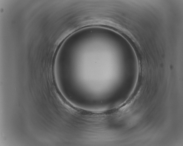 X0000073521513200607311211