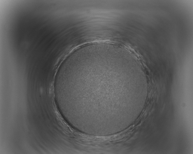 X0000073520002200608071134