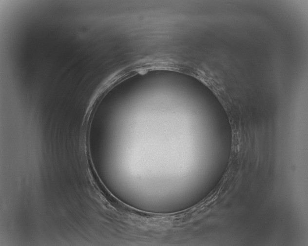 X0000073520004200608071134