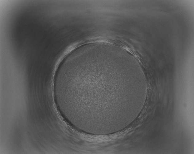 X0000073520006200608071133