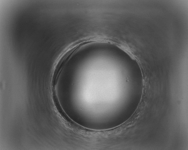 X0000073520007200608071133