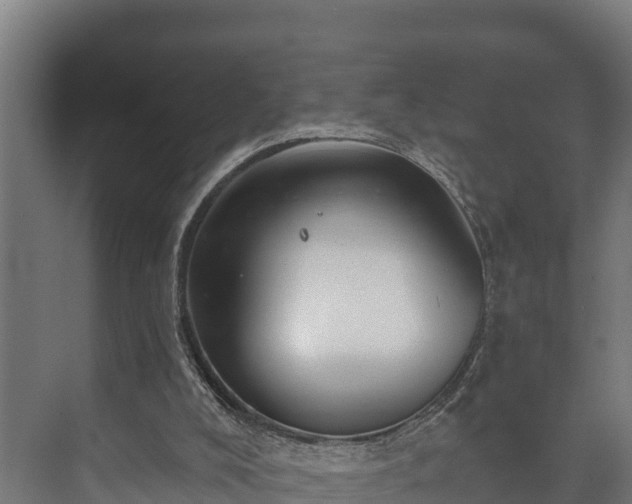 X0000073520008200608071133