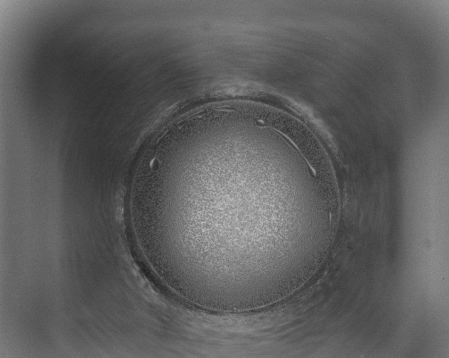 X0000073520010200608071133