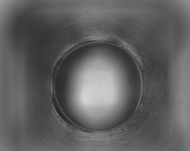 X0000073520011200608071133