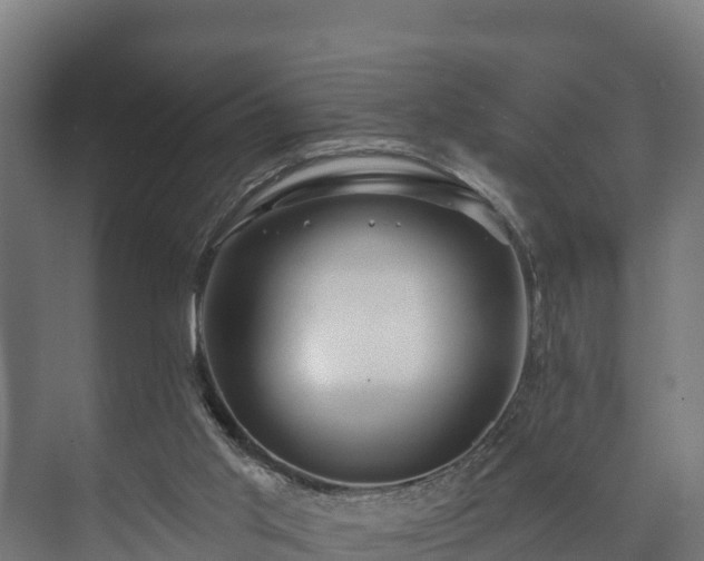 X0000073520013200608071133