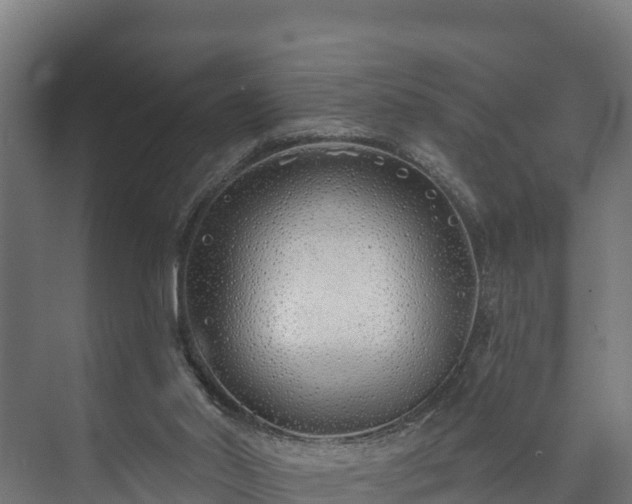 X0000073520014200608071133