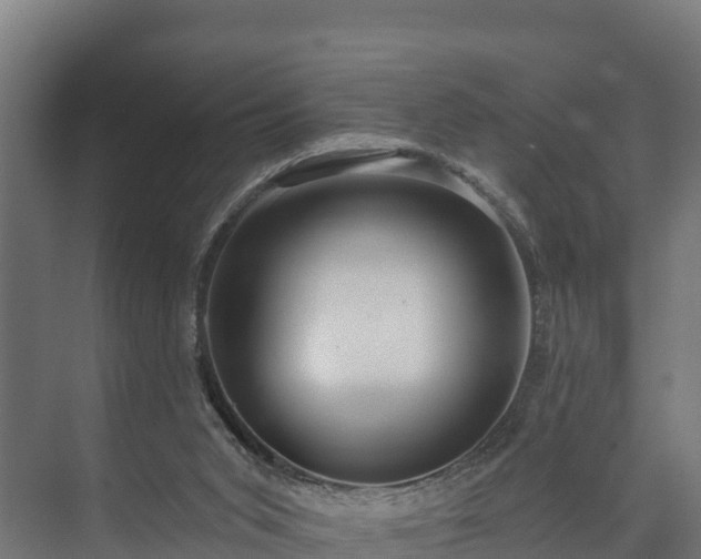 X0000073520015200608071133