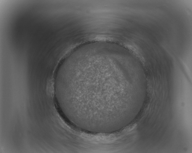 X0000073520016200608071133