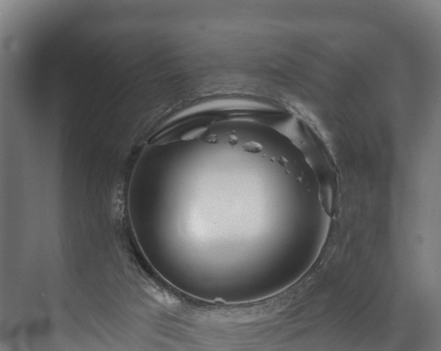 X0000073520017200608071133