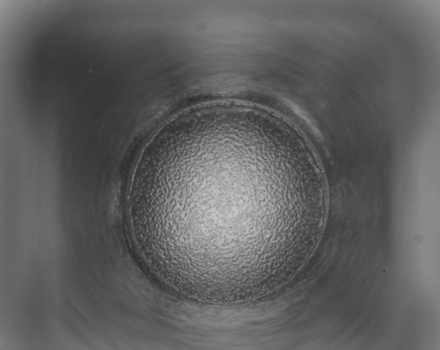 X0000073520018200608071133