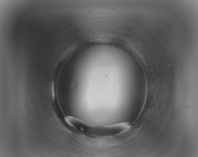 X0000073520020200608071133