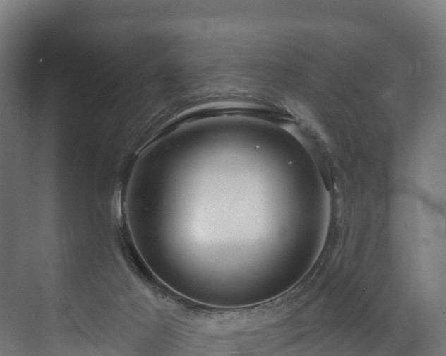 X0000073520021200608071133