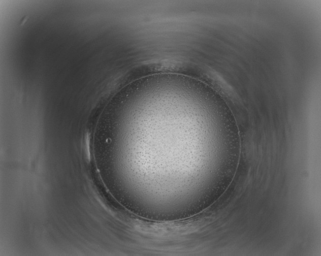 X0000073520022200608071133