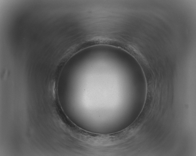 X0000073520024200608071133