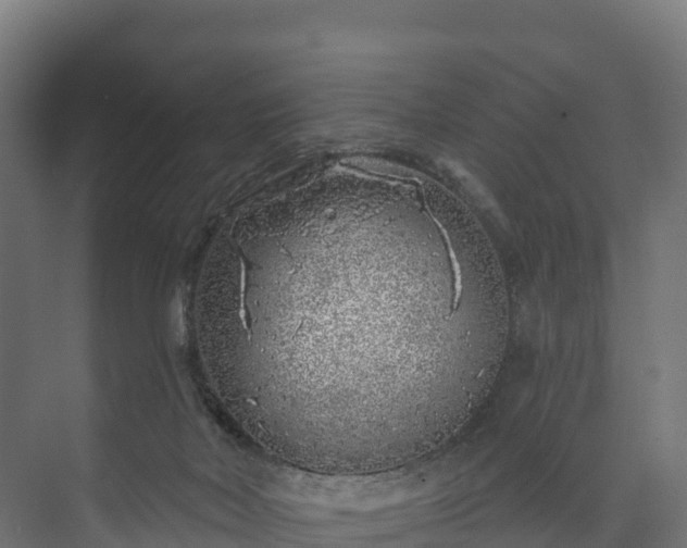 X0000073520026200608071133