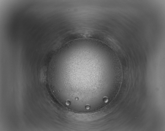 X0000073520030200608071133