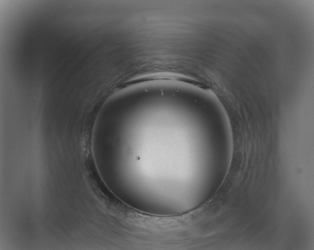 X0000073520031200608071133