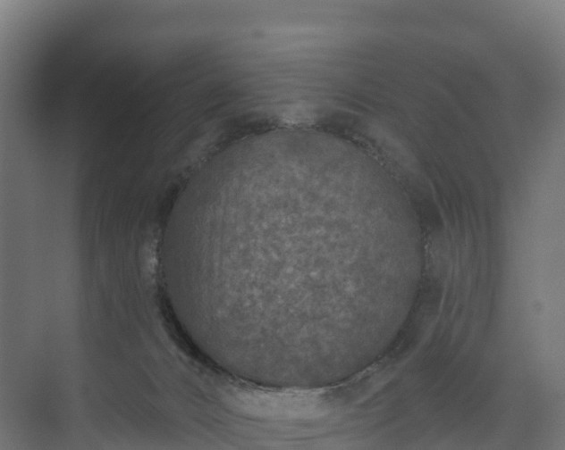 X0000073520032200608071133