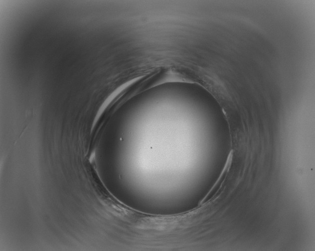 X0000073520033200608071133