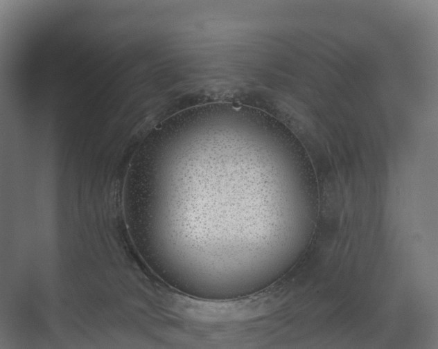 X0000073520034200608071133