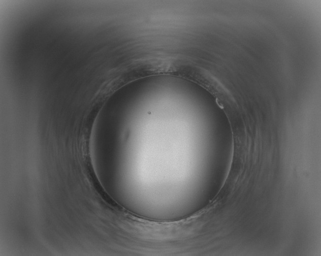 X0000073520035200608071133