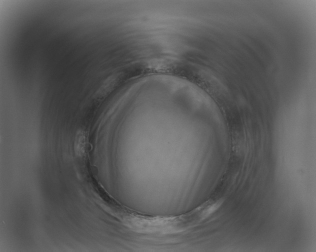 X0000073520036200608071133