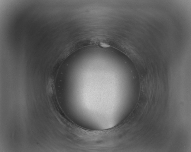 X0000073520038200608071133