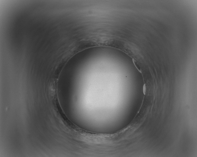 X0000073520040200608071133