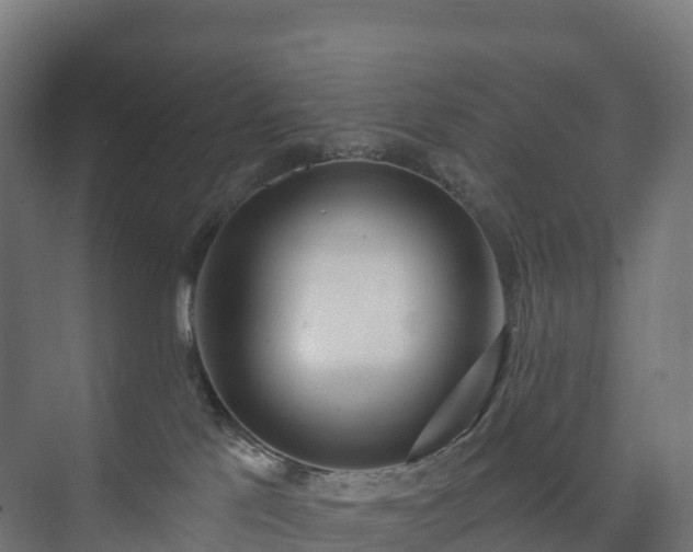 X0000073520041200608071133