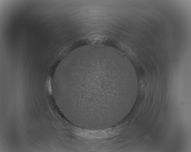 X0000073520042200608071133