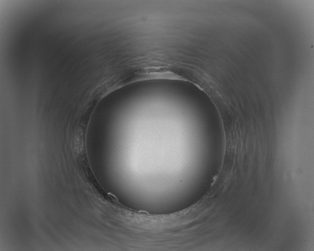 X0000073520043200608071133