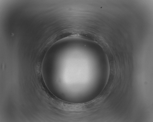 X0000073520044200608071133